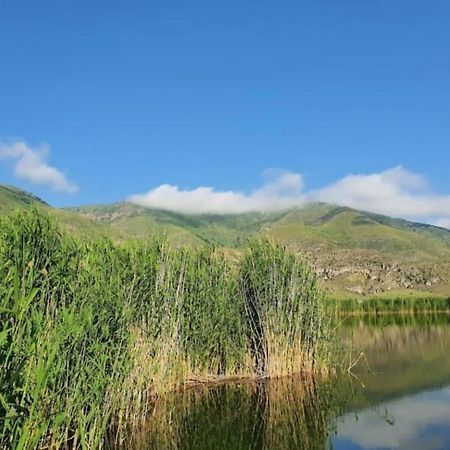 Tirebi Hotel Nakalakevi Екстериор снимка